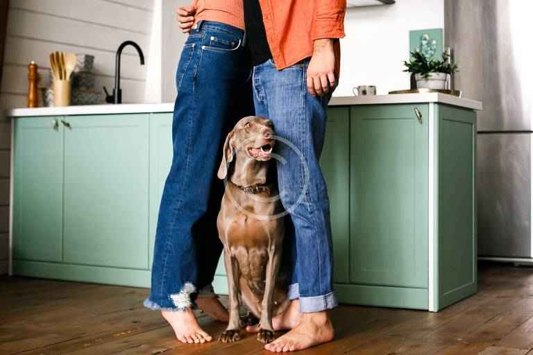 Top Interior Design Trends for 2021